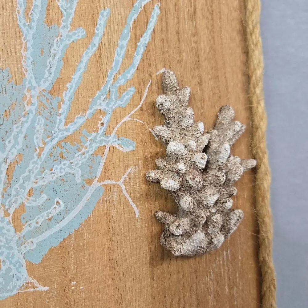 Wooden Coastal Wall Art Decor Rope Trim, Shells, Coral Prints 9.5